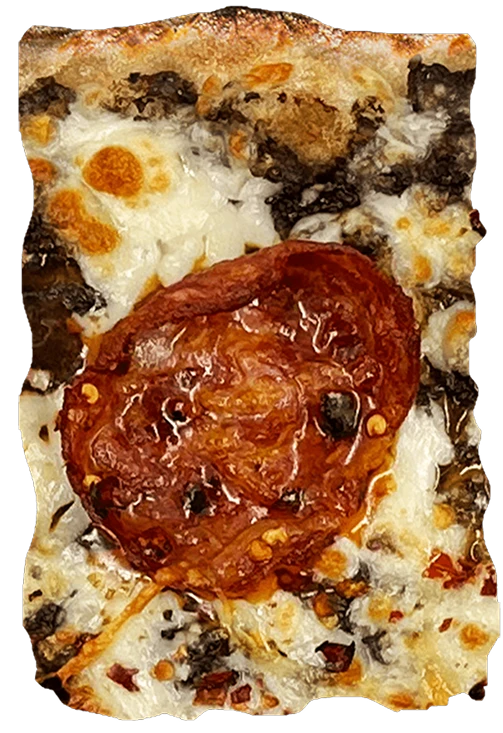 Mozzarella Cheese